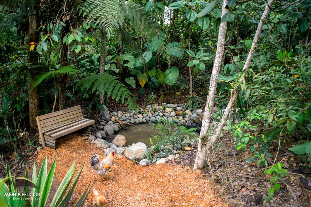 Monte Helicon Ecolodge And Spa Medellin Exterior photo